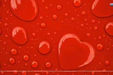 Water Drop Hearts On Red Backgrounds Wallpapers