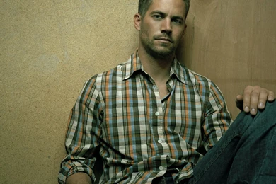 Celebrity Paul Walker Jeans Hd Wallpapers