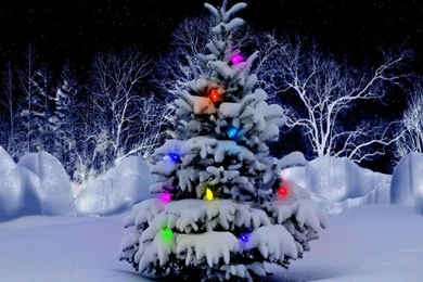 Happy Holidays! Computer Wallpapers, Desktop Backgrounds ...