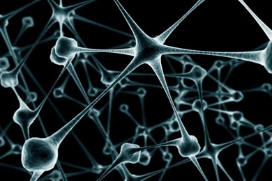 Brain Wallpaper,brain Wallpaper,wallpapers Wallpaper,Cool ...