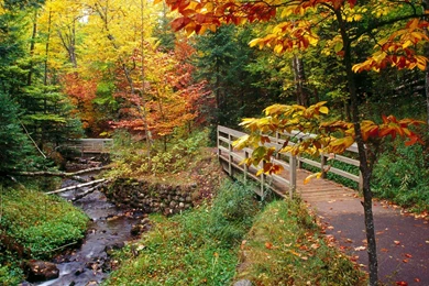 Beautiful Autumn Wallpapers   Free Wallpapers, Download Wallpapers ...