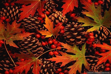 Fall Leaf Desktop Wallpapers.jpg