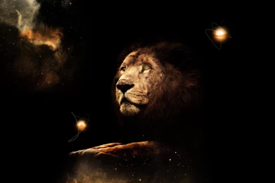 Lion Wallpapers Hd By Tooyp D6cl9th Png 297518