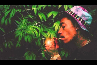 WIZ KHALIFA Rap Rapper Hip Hop Gangsta 1wizk Weed Drugs Marijuana ...