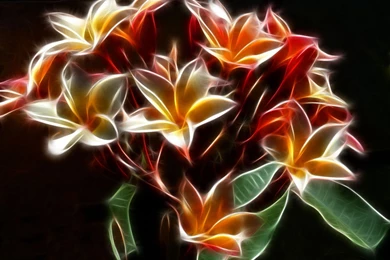 Glowing With Color   Bright Colors Wallpapers (18999547)   Fanpop