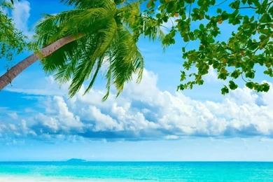 Tropical Beach Resorts HD Desktop Wallpapers : Widescreen : High ...
