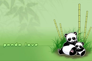 Panda Love Art Funny HD Wallpapers Wallpapers   (