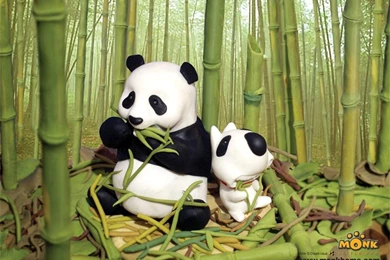 Cute Panda Cartoon Wallpapers Hd Images Pictures Becuo
