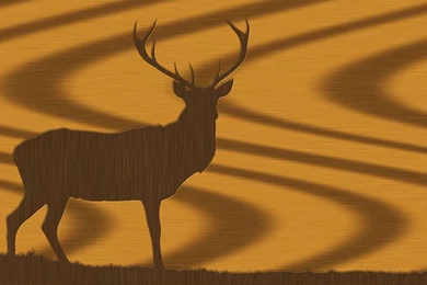 Public Domain Image   Free Picture Of Illustration Of A Deer In ...