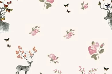 Pretty Deer Backgrounds Made By Tessennliz.tumblr.com
