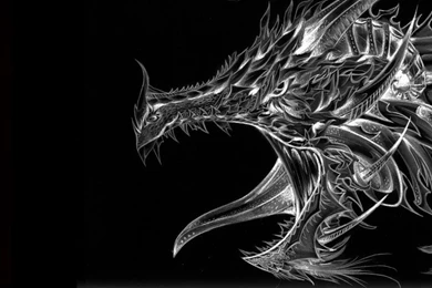 Black And White Dragon Computer Wallpapers, Desktop Backgrounds ...