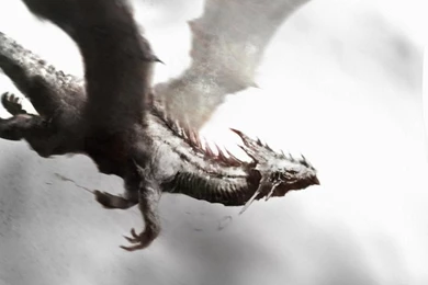 White Dragon 2 Hd Wallpapers   Hivewallpaper.com