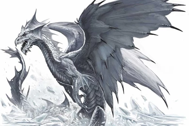 White Dragon 32 Hd Wallpapers   Hivewallpaper.com