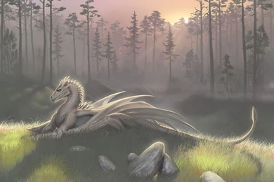 Nlys   Pet Adoptables