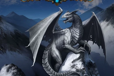 Top White Dragon Wallpaper Images For Pinterest
