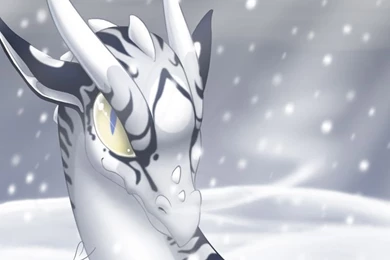 Egg Shoppe   The Traveler