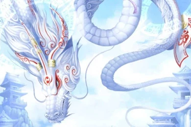 The White Dragon   Dragons Picture
