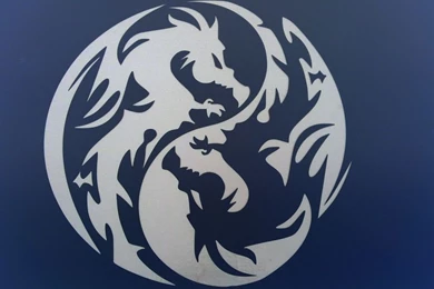 Dragons Yin Yang Tattoo Model   Tattoes Idea 2015 / 2016