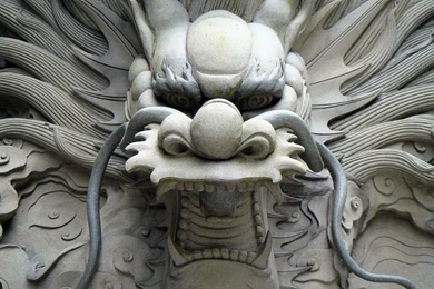 Dragon Fantasy Wallpapers