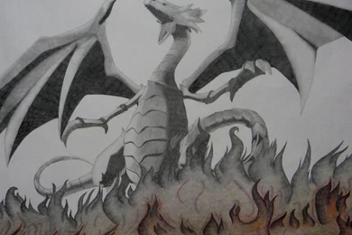 Blue Dragon Eyes Wallpapers White