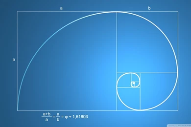 Snail Shell Spiral Wallpapers (DESKTOP BACKGROUNDS)