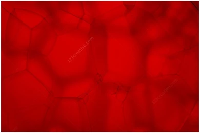 Abstract Bubble Backgrounds Pack Soap Bubble Backgrounds, Oil ...