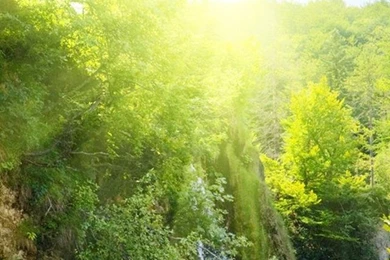 Ios 8 Nature Wallpapers 118   IOS 8 Wallpapers