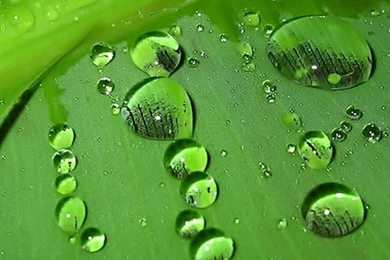 Galaxy S3 Wallpapers HD   Beautiful, Stunning Wallpapers