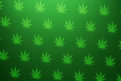 Download Wallpapers 3840x2160 Background, Leaves, Texture, Green 4K ...