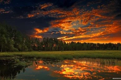 Relaxing Pink Teddy Wallpapers