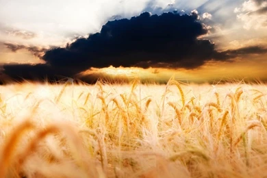 Relaxing Desktop Wallpaper: Beautiful By Free Download Best HD ...