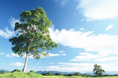 People In Nature Relaxing In Nature 1024x768 NO.32 Desktop ...