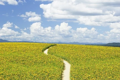 People In Nature   Relaxing In Nature 1024x768 NO.2 Desktop ...