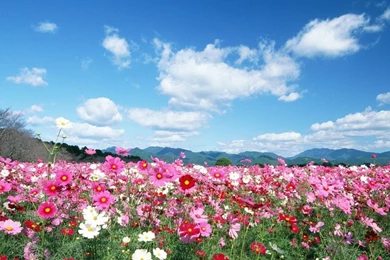 People In Nature   Relaxing In Nature 1280x1024 NO.25 Desktop ...