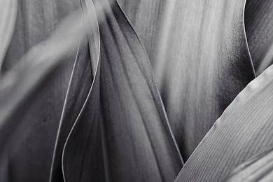 1080x1920   Samsung Wallpapers