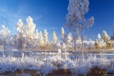 Download 1366x768 Bing Winter Landscape Wallpapers