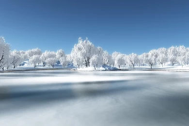 Winter Landscape Hd Desktop