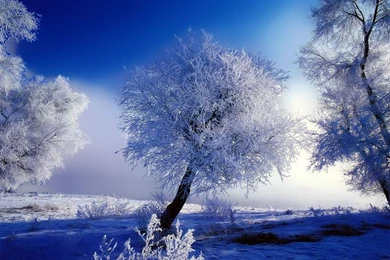 Winter Landscape Wallpapers   Crazy Frankenstein