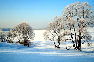 Winter Landscape Wallpapers   Nature Wallpapers