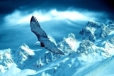 Top Wallpapers Above Is Landscape Images For Pinterest