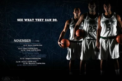 NBA Minnesota Timberwolves Basketball Desktop 19   Wallcoo.net