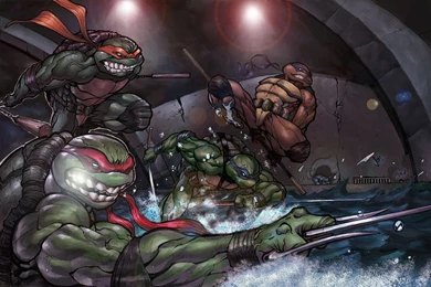 1 Ninja Turtles HD Wallpapers