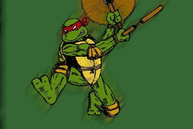 Ninja Turtles Michelangelo Wallpaper Images