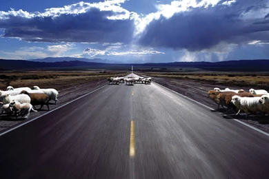 Excellent Road Wallpapers