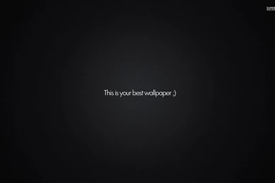 This Is Your Best Wallpapers Wallpapers   Funny Wallpapers