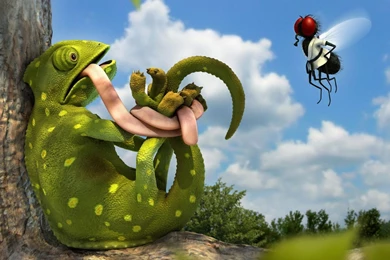 Funny Picture Hd Wallpapers   Backgrounds Wallpapers For Your ...