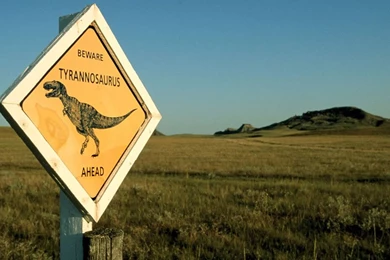 More Dinosaur Wallpapers   DinoPit