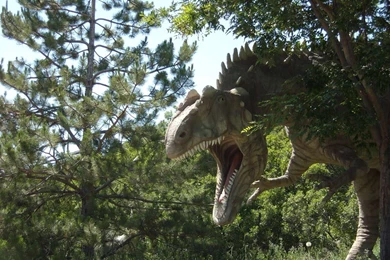 Dinosaur Wallpapers   95827