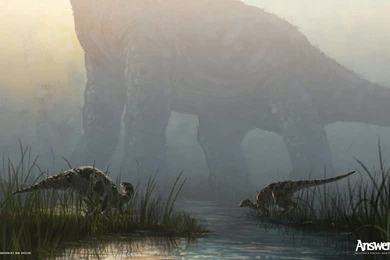 Dinosaur High Quality Desktop Wallpapers   WallpaperCafe