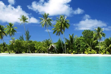 Download Wallpapers Paradise Beach In The Tropics (1920 X 1080 HDTV ...